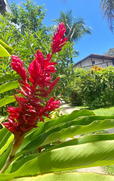 Suíte de temporada para alugar em Maresias próximo à praia - Foto 16